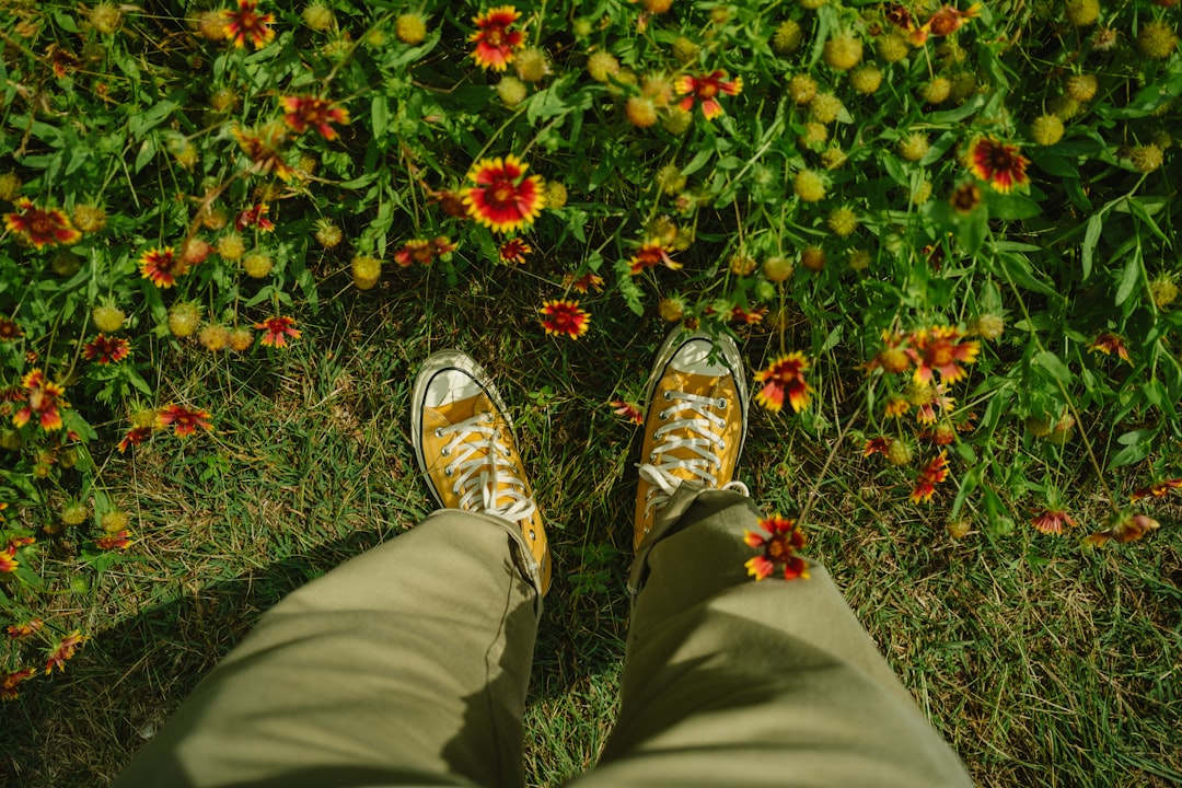 Photo floral pants