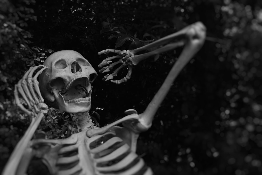 Photo halloween